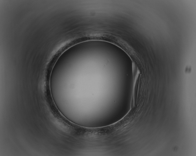 X0000096640728200802121109
