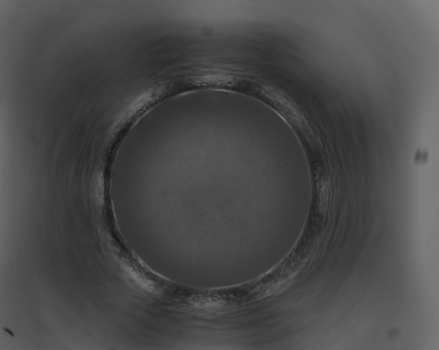 X0000096640729200802121109
