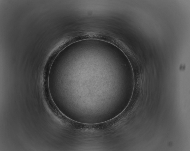 X0000096640730200802121109
