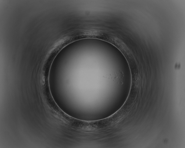 X0000096640731200802121109