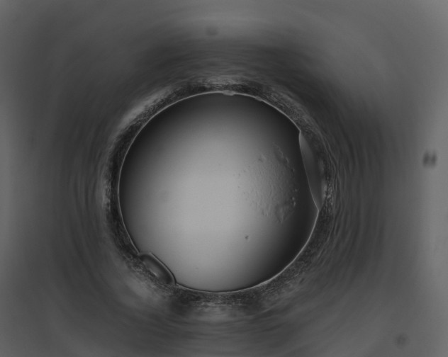 X0000096640732200802121109