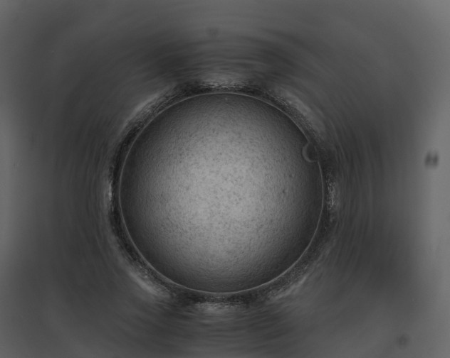 X0000096640733200802121109