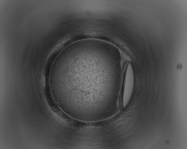 X0000096640734200802121109