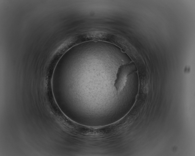 X0000096640735200802121109