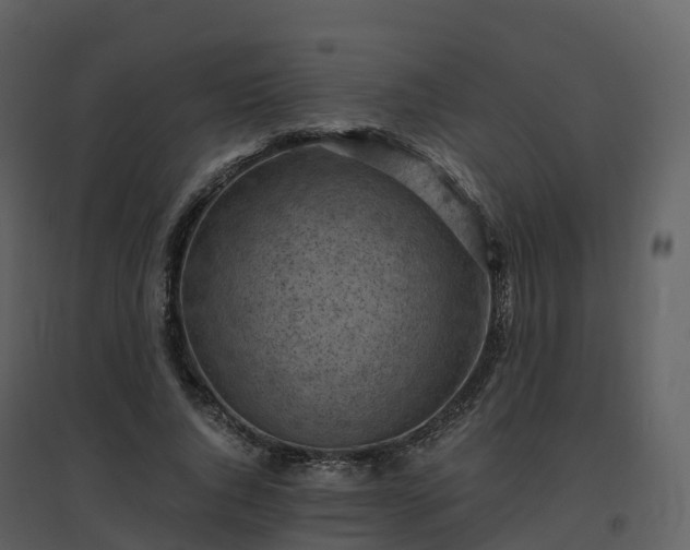 X0000096640736200802121109