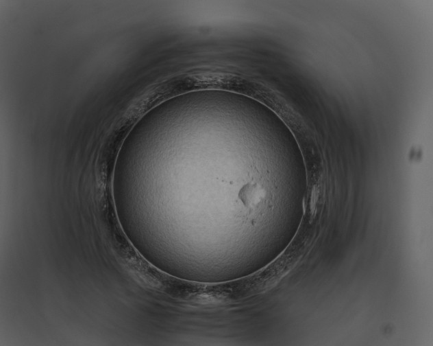 X0000096640737200802121109