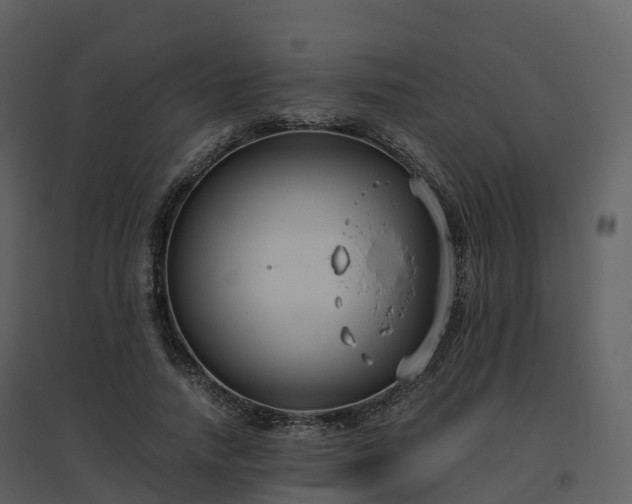 X0000096640738200802121109