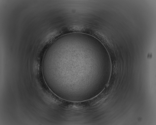 X0000096640739200802121109