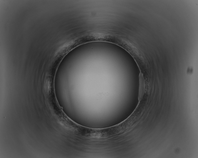 X0000096640740200802121109