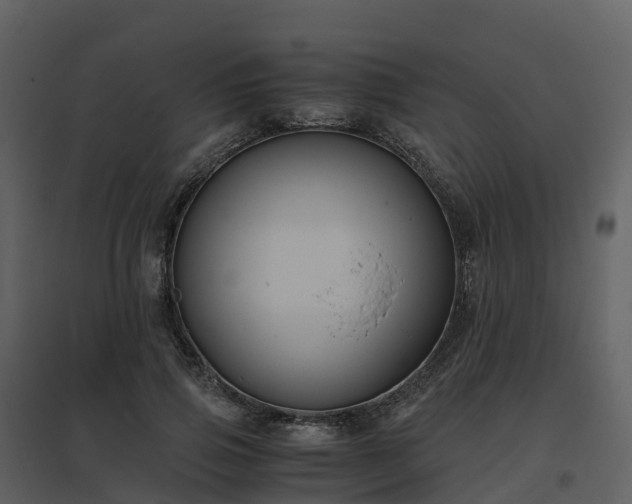 X0000096640741200802121109
