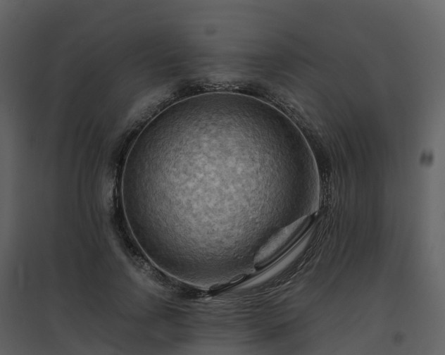 X0000096640742200802121110