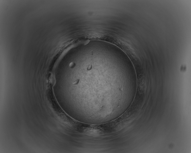 X0000096640743200802121110