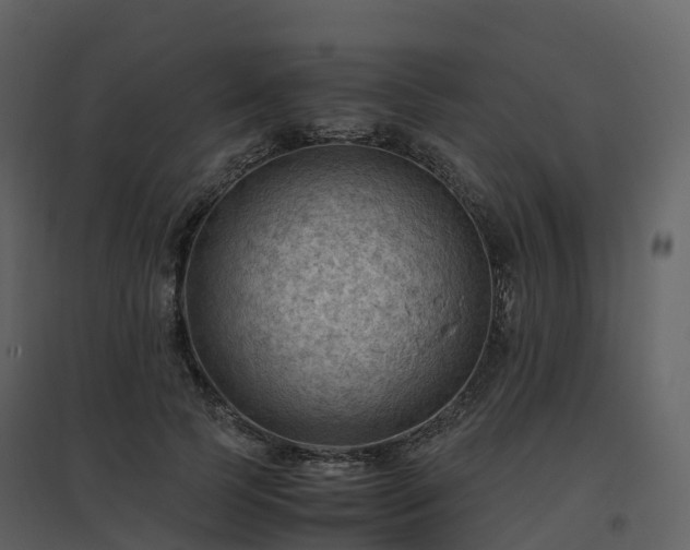 X0000096640745200802121110