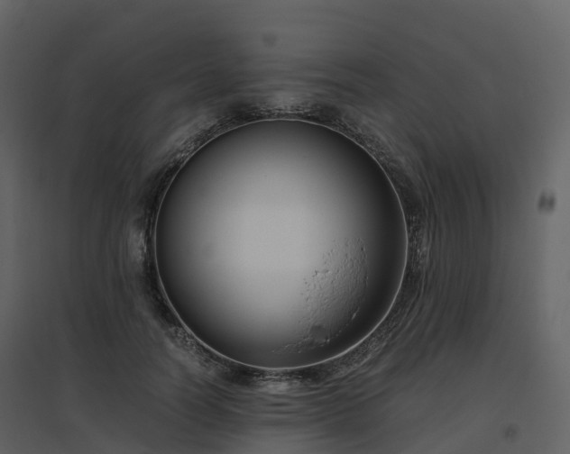 X0000096640746200802121110