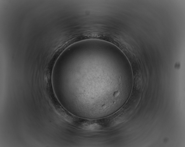 X0000096640747200802121110