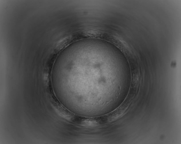X0000096640749200802121110