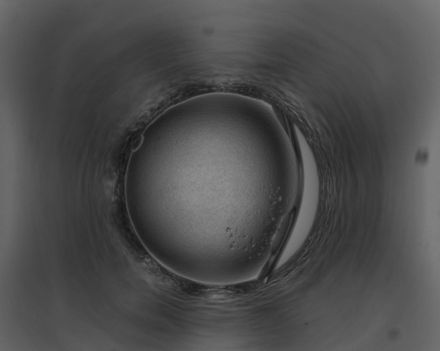 X0000096640750200802121110