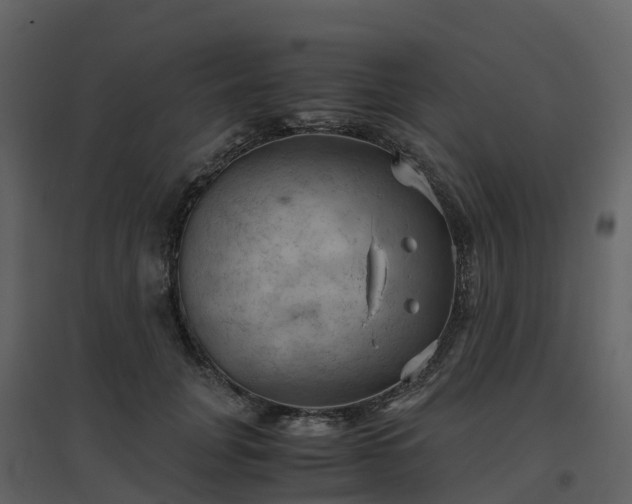 X0000096640751200802121110