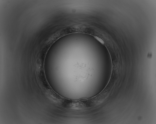 X0000096640752200802121110
