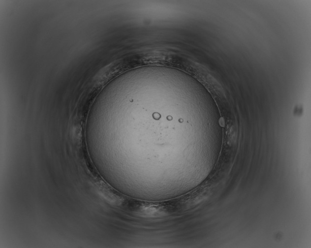 X0000096640753200802121110