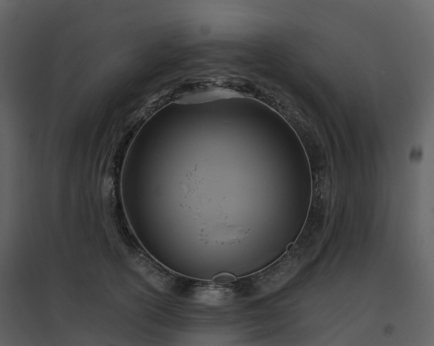 X0000096640754200802121110