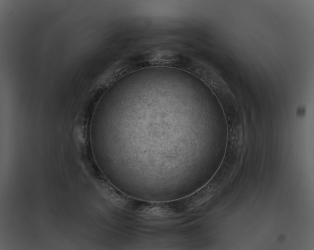 X0000096640755200802121110