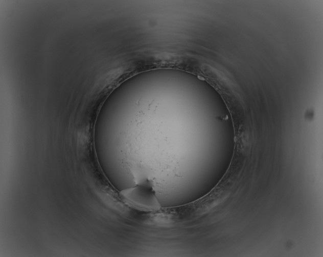 X0000096640756200802121110