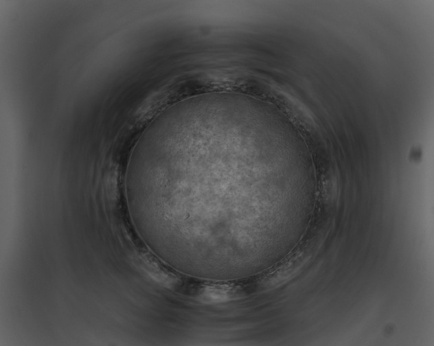 X0000096640757200802121110