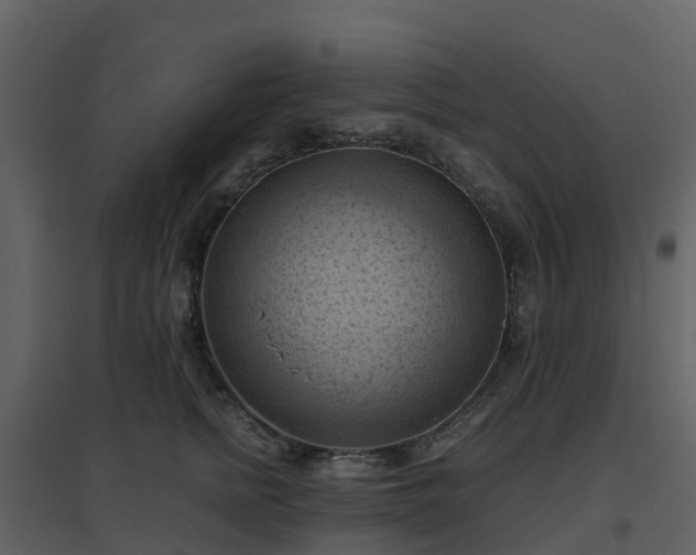 X0000096640758200802121110
