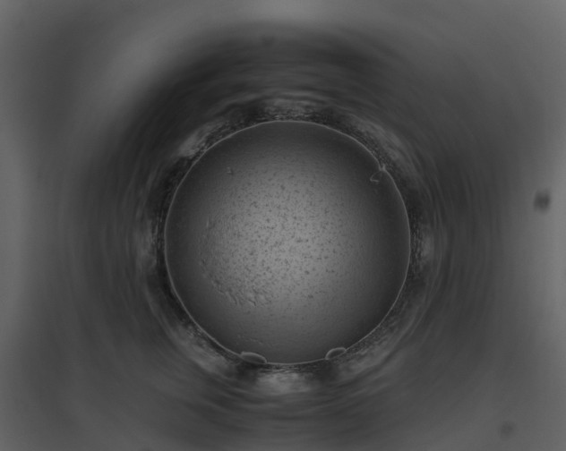 X0000096640759200802121110