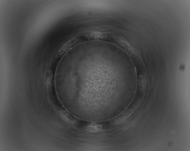 X0000096640760200802121110
