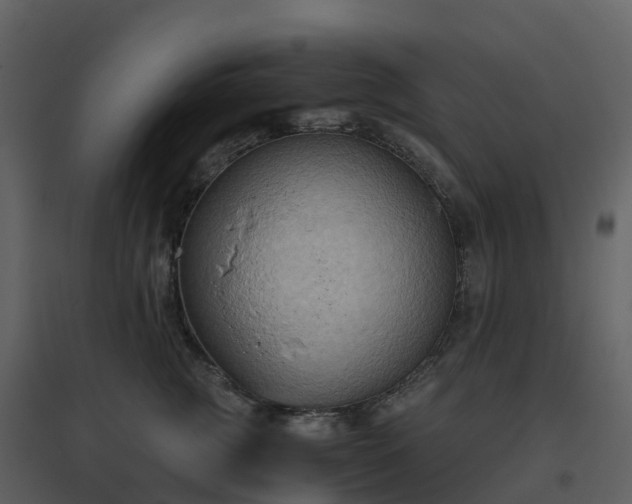 X0000096640761200802121110