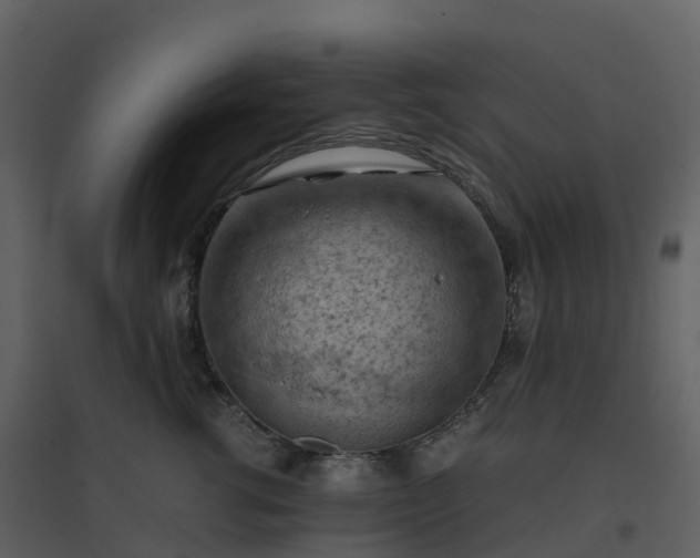X0000096640762200802121110