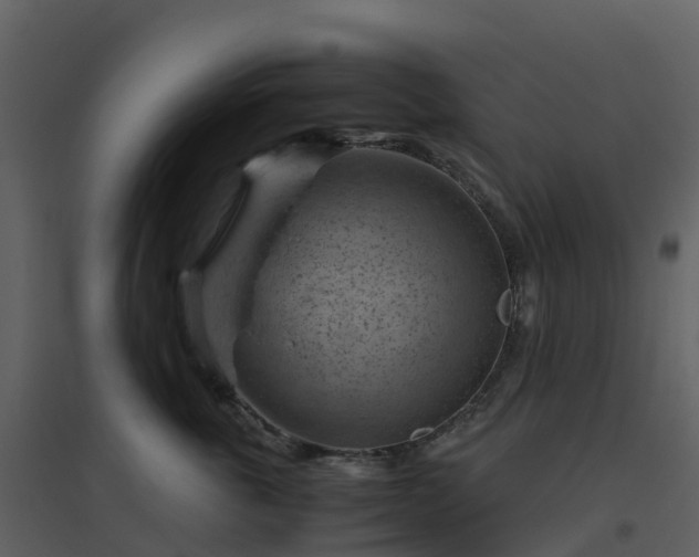 X0000096640763200802121110