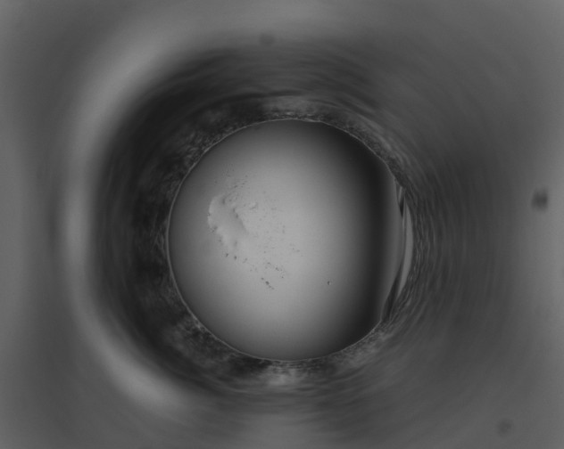 X0000096640764200802121110