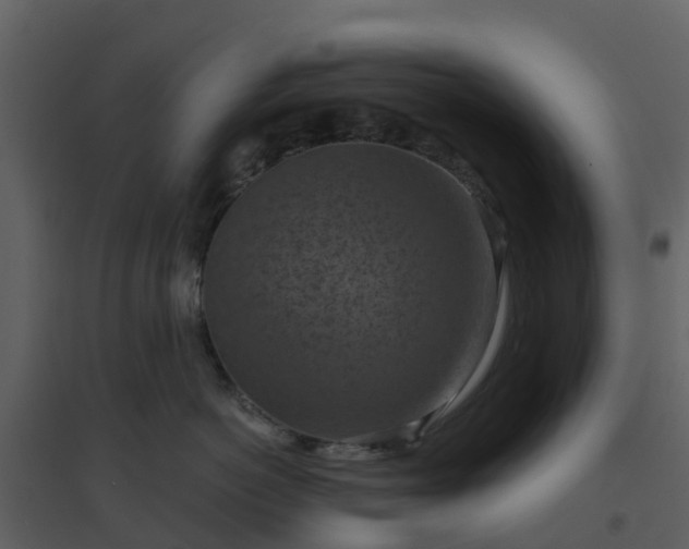 X0000096640766200802121110