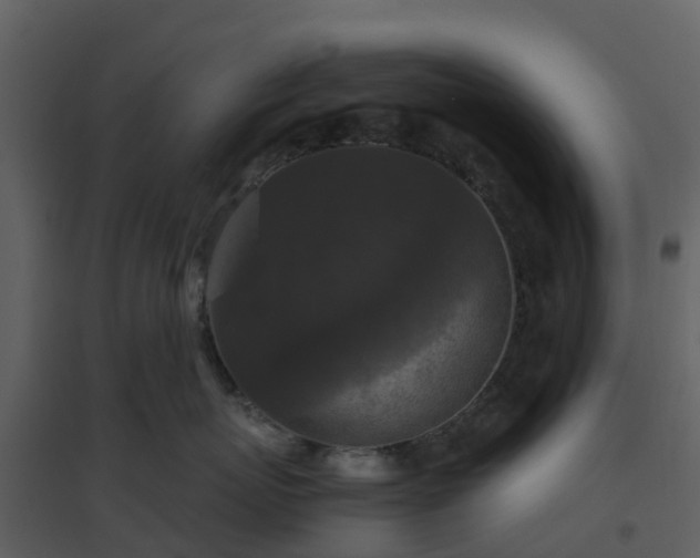 X0000096640767200802121110
