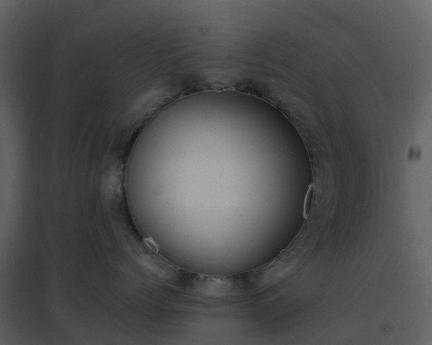X0000096640768200802121110