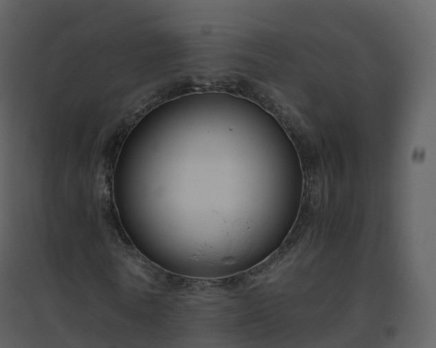 X0000096640770200802121109