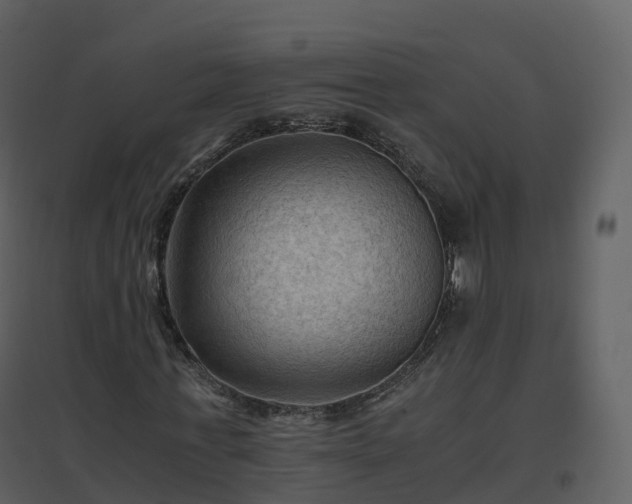 X0000096640771200802121109
