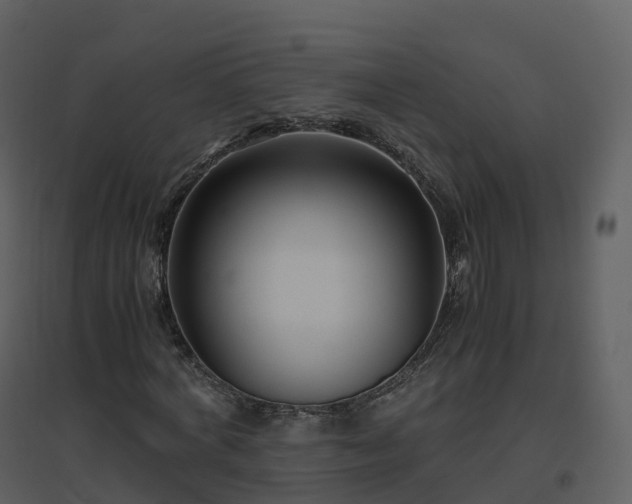 X0000096640772200802121109