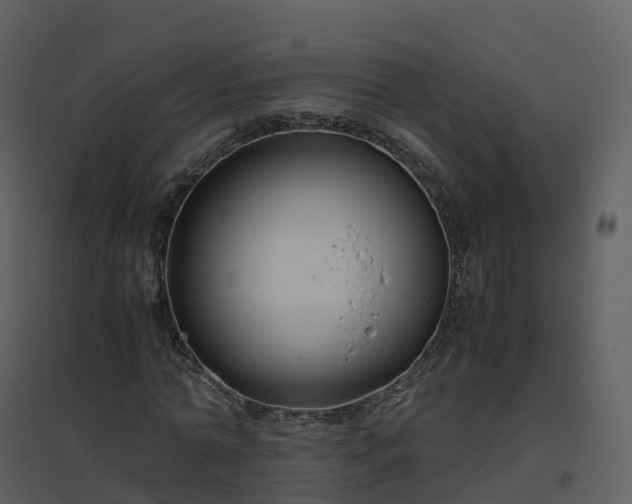 X0000096640774200802121109
