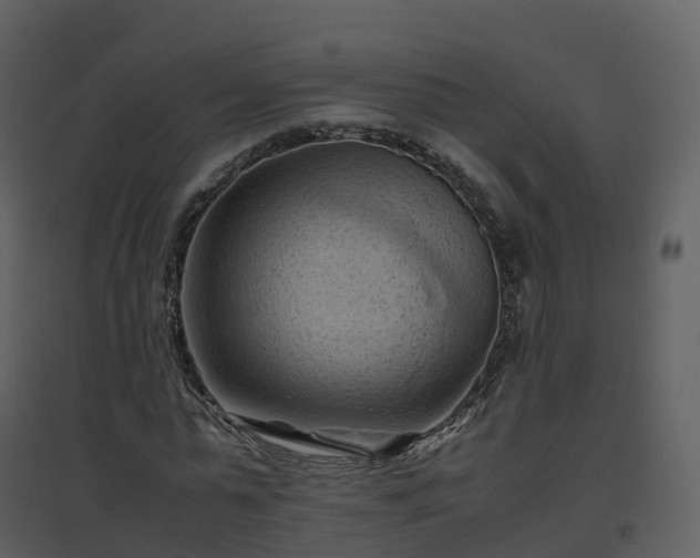 X0000096640775200802121109
