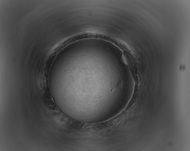 X0000096640776200802121109