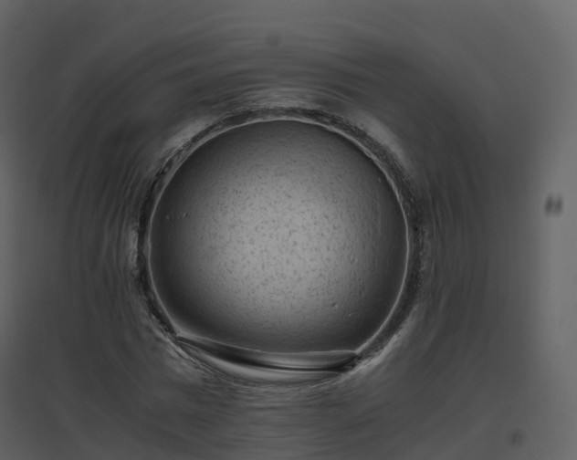 X0000096640777200802121109