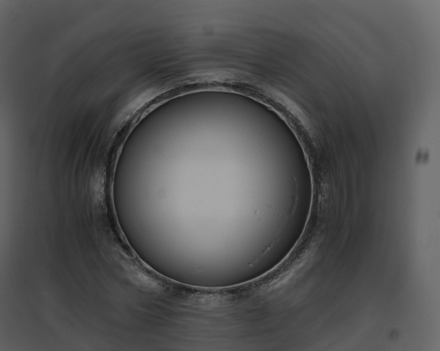 X0000096640778200802121109