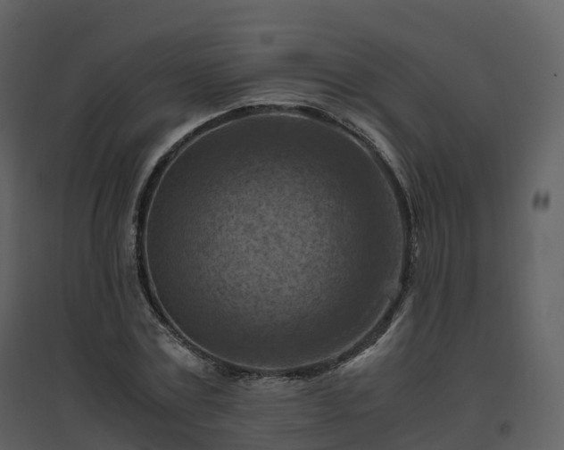 X0000096640779200802121109