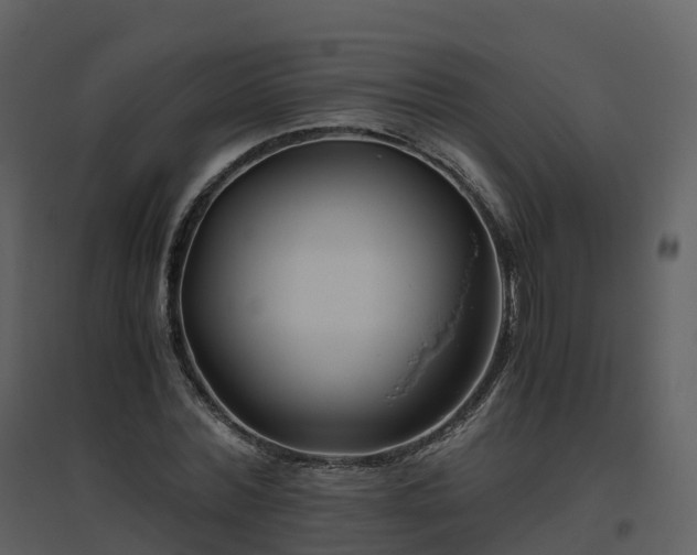 X0000096640780200802121109