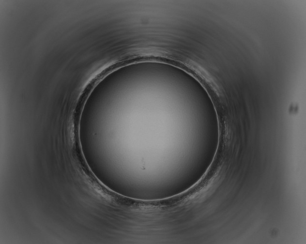 X0000096640782200802121109