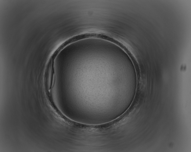 X0000096640783200802121109